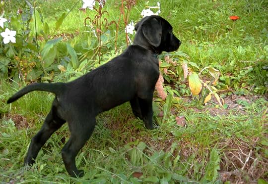 Tilly and her flower
