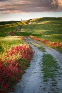Country road over hills
