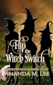 Flip the Witch Switch by Amanda M. Lee
