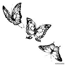 three white butterflies