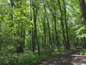 Beltzville State Park