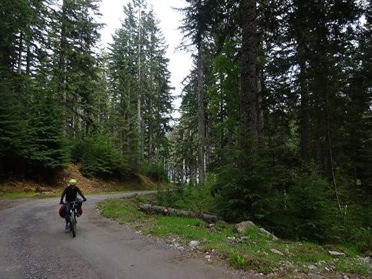Cycling through forest above Invermoriston on the Great Glen Way