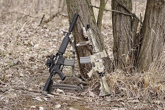 Two AR-15 rifles standing on a tree