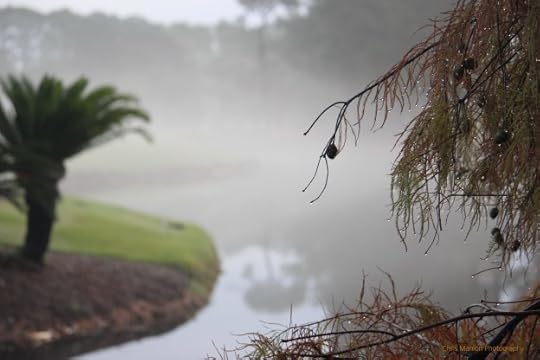 fog brings clarity