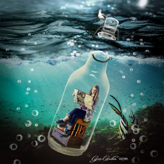 44100142711_013b13bff3_o