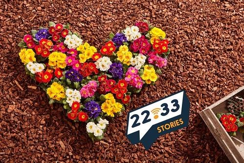 22.33 Stories: Learning to Say Love in Bengali