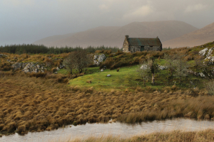 Ireland CottageShabster1
