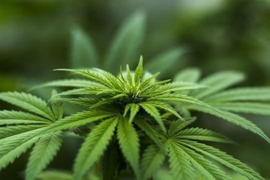 Overview of Cannabinoid receptors