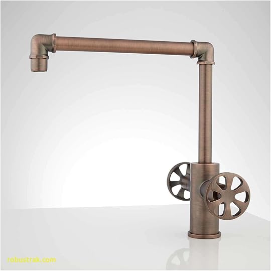 Kitchen Sink and Faucet Combo Beautiful Industrial Kitchen Faucet