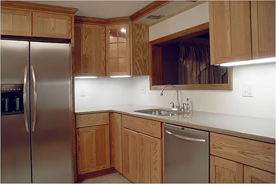 Kitchen Sink and Cupboard Unit Refacing or Replacing Kitchen Cabinets