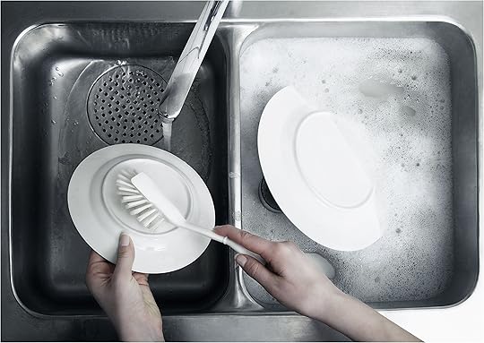 Low Divide Kitchen Sinks the Basics Kitchen Sink Grid Stainless Steel