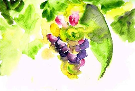 Vineyards-multi-grapes-kw.jpg