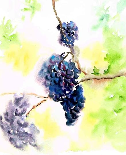 Vineyards-blue-grapes-kw.jpg