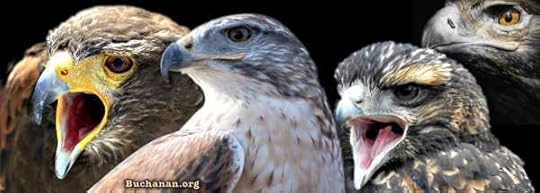 Do Trump's Hawks Speak for Trump?