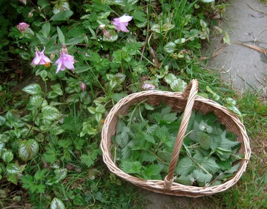 Foraging basket