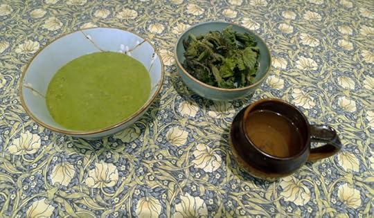 Nettle soup and tea