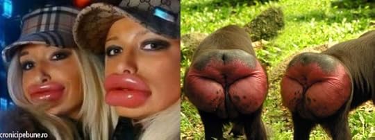 hh