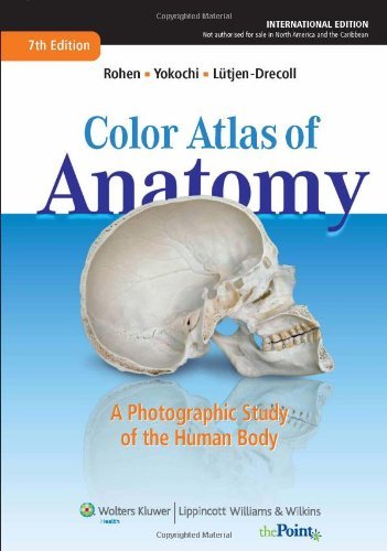 Color Atlas of Anatomy: A Photographic Study of the Human Body