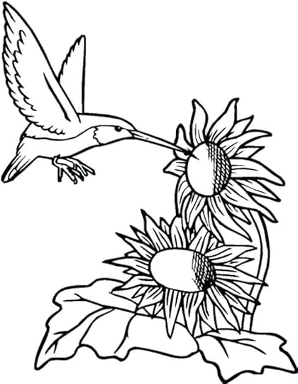 hummingbird coloring page sunflower and hummingbird coloring page images of hummingbird coloring pages