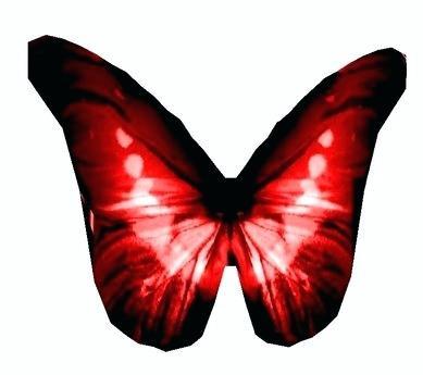 images of animated butterfly animated butterflies moving images butterfly