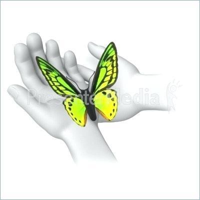 images of animated butterfly butterfly animation for animated butterfly animated moving images of butterfly