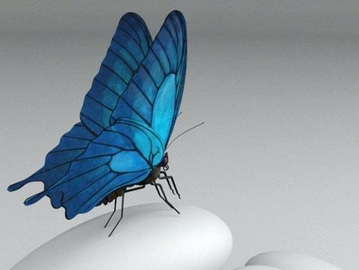 images of animated butterfly butterfly animated images animated butterfly