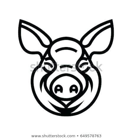 pig head drawing pig head logo mascot emblem vector image of swine head draw a pig head