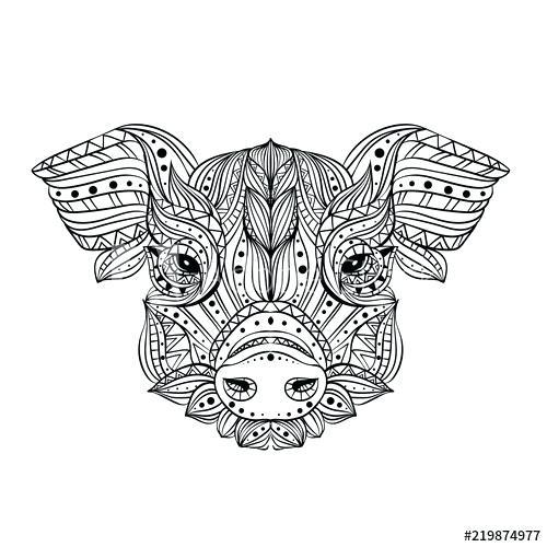 pig head drawing head of a wild boar meditation coloring of the mandala pig head with draw a pig head