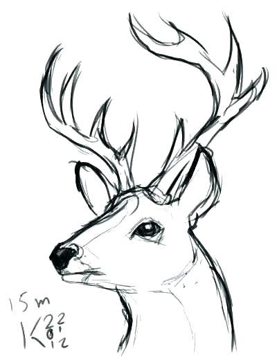how to draw deer step by step how to draw a deer plus deer head coloring pages how to draw a deer skull how to draw a deer how to draw a deer step by step video