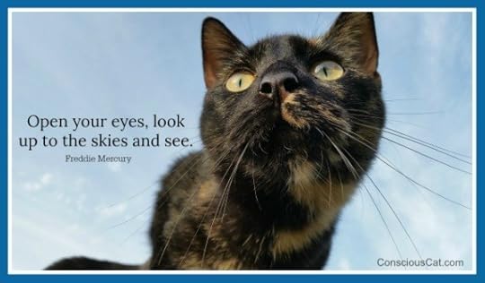 look-up-to-the-sky-and-see