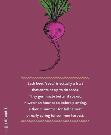 Beet-Tip-Vegetable-Gardening-Wisdom.jpg