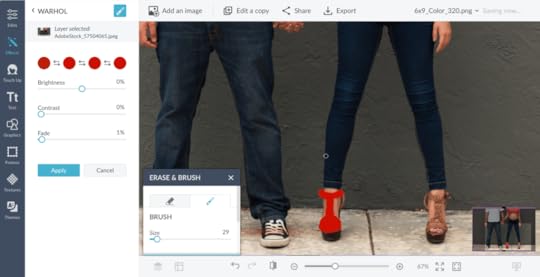 painting over picture in picmonkey