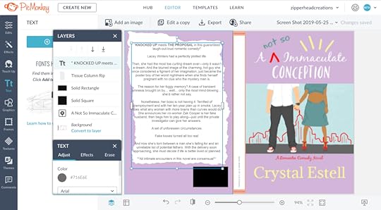 Blog Print Book Blurb3-2