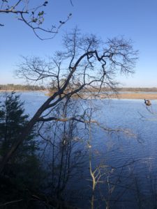 attitude of positivity 