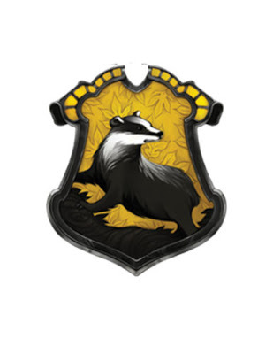 DIY Harry Potter House Flag