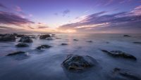 Wiccascopes With Violet 2337 20th May – 26th May 2019