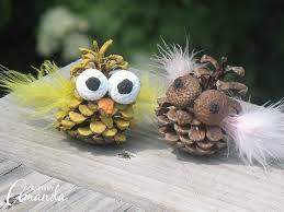 Image result for pinecone