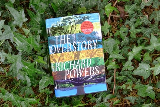 The Overstory
