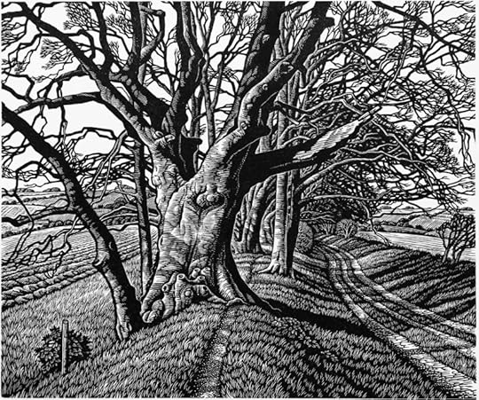 Beech Tree Cloister by Howard Phipps