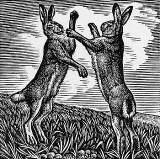 Boxing Hares by Howard Phipps