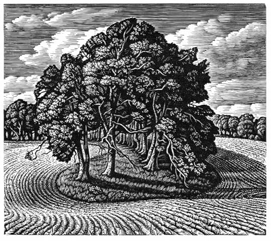A Beech Shaded Hollow, Cranborne Chase by Howard Phipps