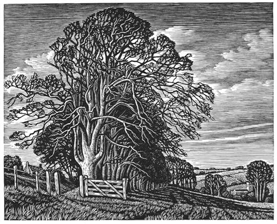 Knowle Hill, Broadchalke by Howard Phipps