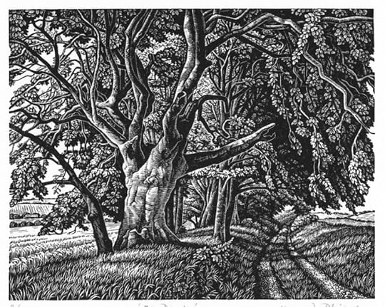 Ox Drove by Howard Phipps