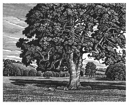 Ebble Valley Oak by Howard Phipps