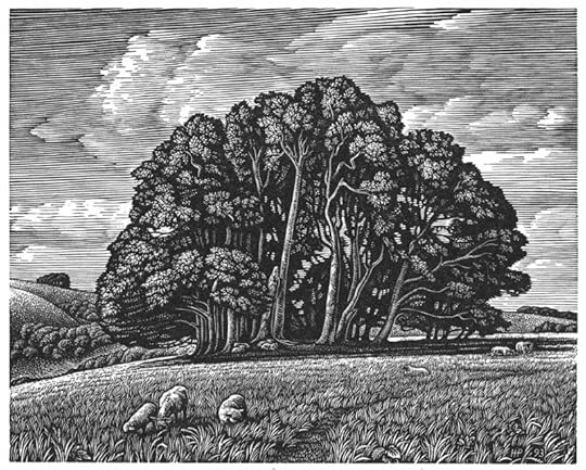 Win Green from Berwick Down by Howard Phipps