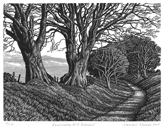 Lewesdon Hill Beeches by Howard Phipps