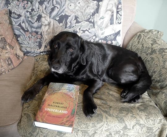 Underland by Robert Macfarlane