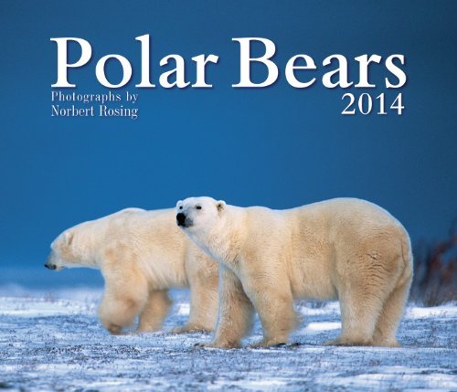 Polar Bears 2014 Calendar