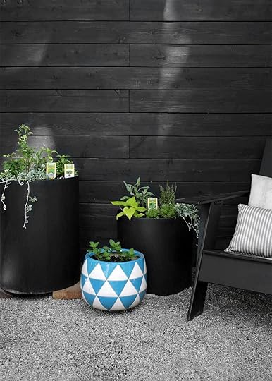 Urban Vegetable Gardening from The Faux Martha