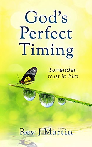 Gods Perfect Timing: Surrender, trust in him. Leave your stressful life behind. (English Edition)